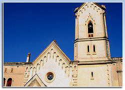 Sant Pere del Bosc